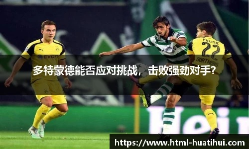 华体会hth体育官网入口